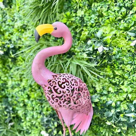 Rooftop - 5 Min Centre Strasbourg